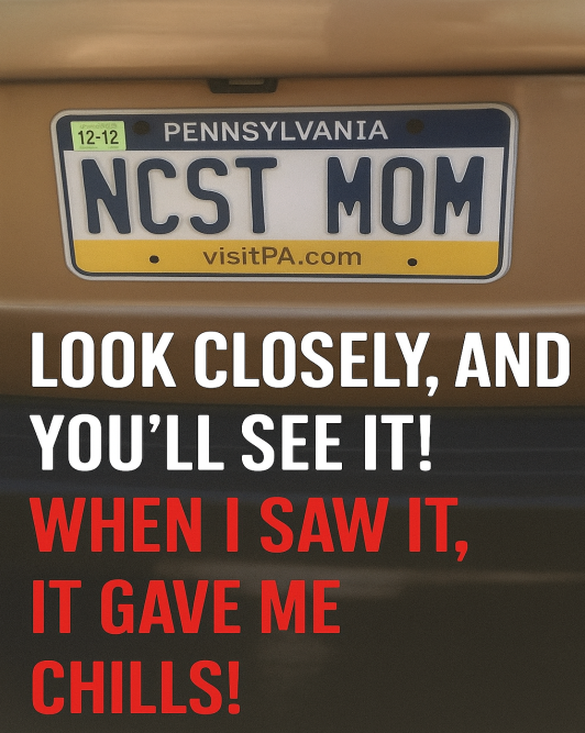 Look Closely at This License Plate and What It Reveals May Surprise You