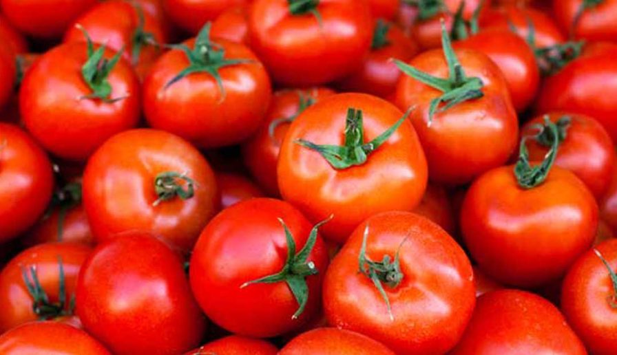 Why Tomatoes Are a Simple and Smart Addition to Daily Meals