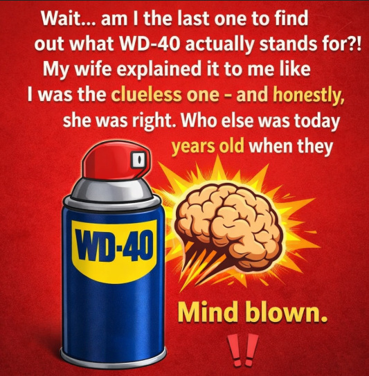 The Hidden Purpose of WD-40 That Most People Don’t Know