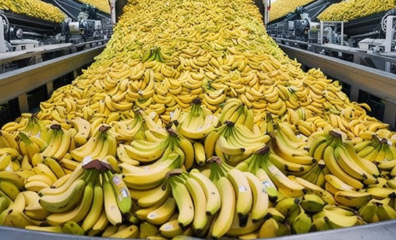 Is a Banana a Good Breakfast Choice? Experts Weigh In