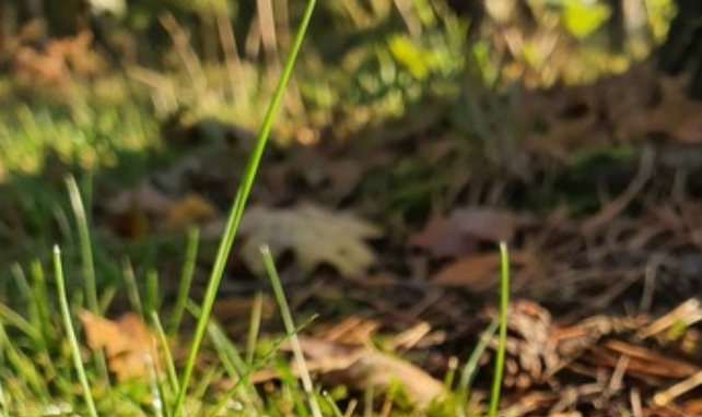 The Unexpected Garden Discovery That Taught Me Something Meaningful