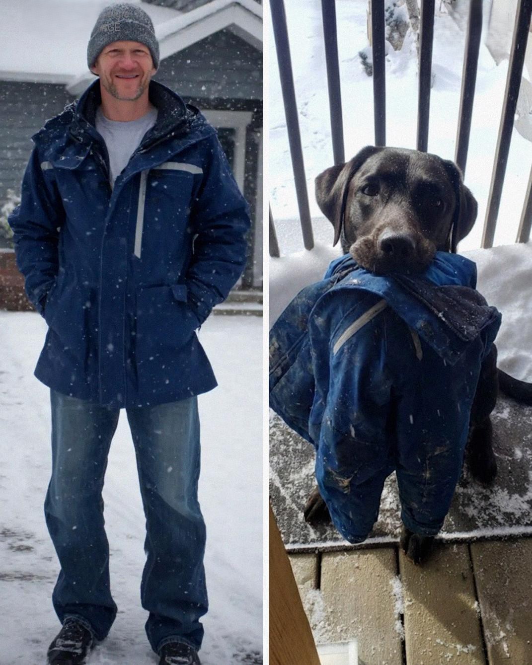 A Familiar Jacket, a Loyal Dog, and a Discovery I Never Anticipated
