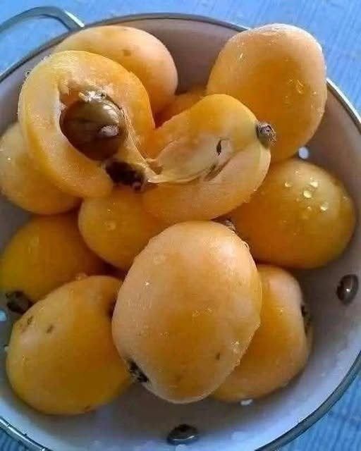 I Finally Found the Name of This Fruit I’ve Wondered About for Years