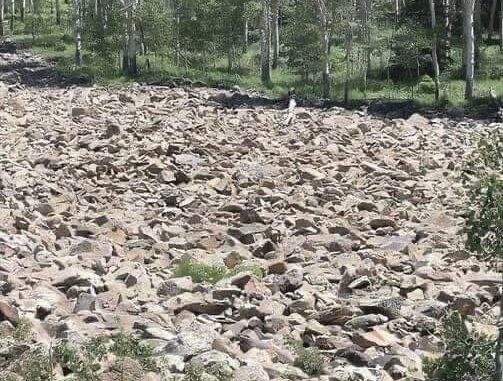 Test Your Eyesight with This Tricky Optical Illusion