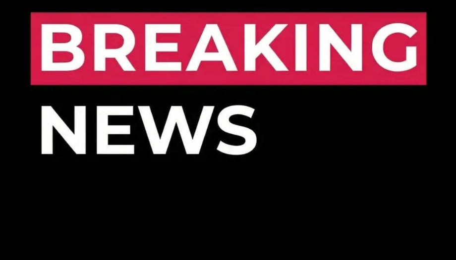 Europe Joins Arctic Cooperation Amid Denmark–U.S. Split Over Greenland Security