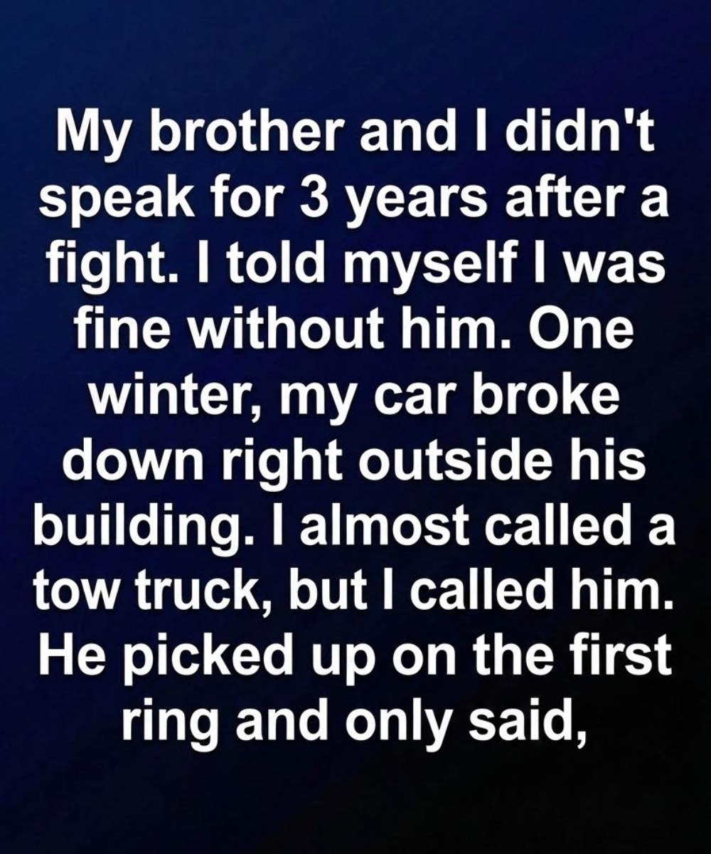 The Night I Reached Out and Found a Connection Still There