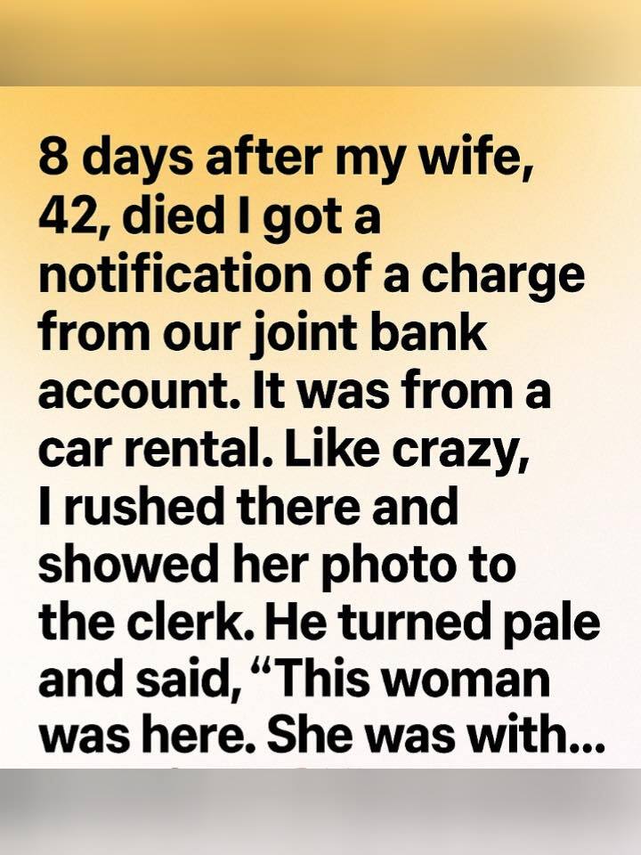 The Ordinary Notification That Changed Everything in an Instant