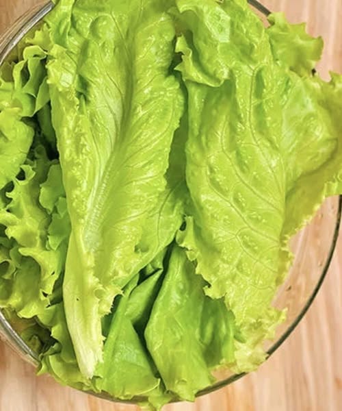 Why Eating Lettuce in Winter May Affect Your Digestion