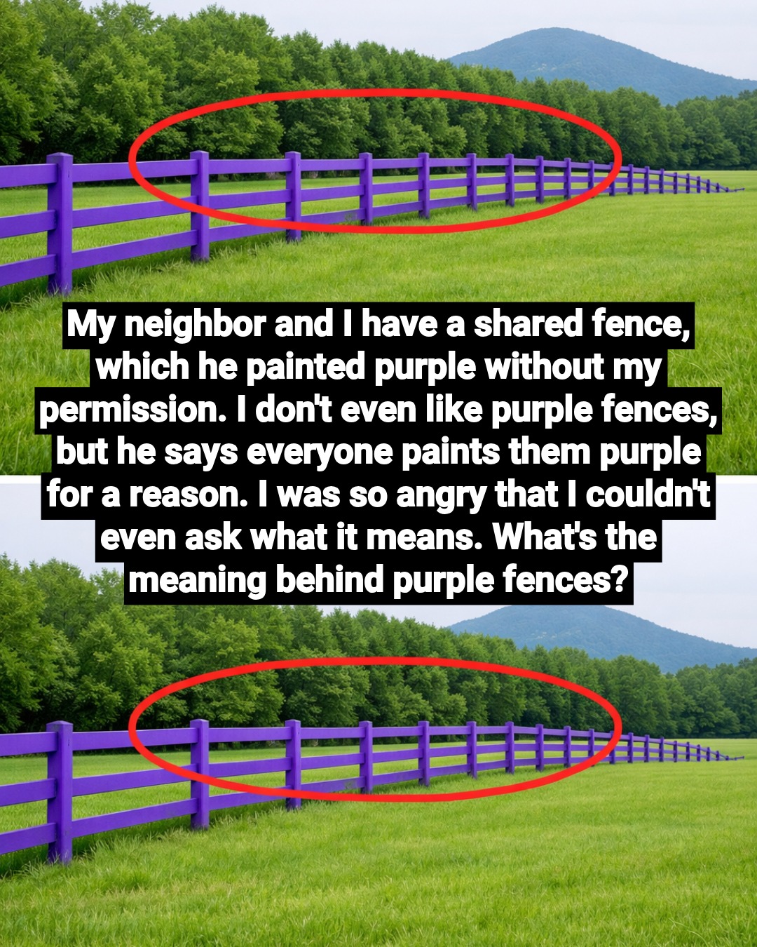 What a Purple Fence Means: The “No Trespassing” Signal Explained