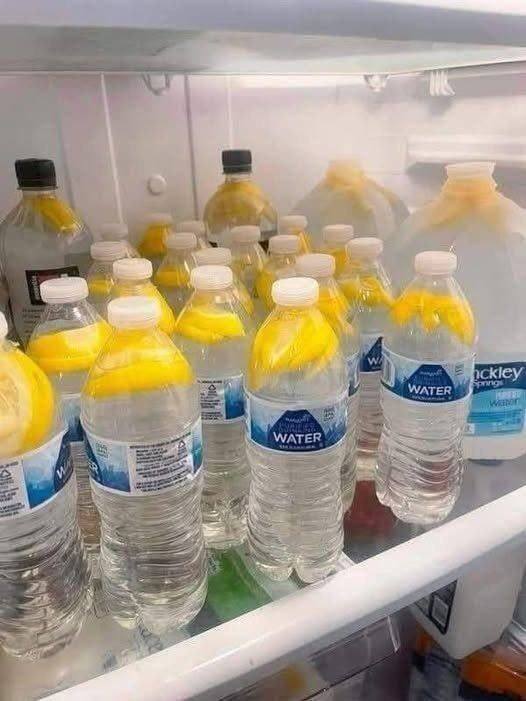 Ginger Water Benefits: Improve Digestion, Immunity, and Hydration