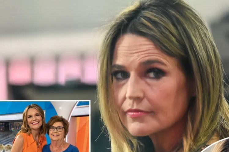 New Police Details Emerge in High-Profile Missing Person Case