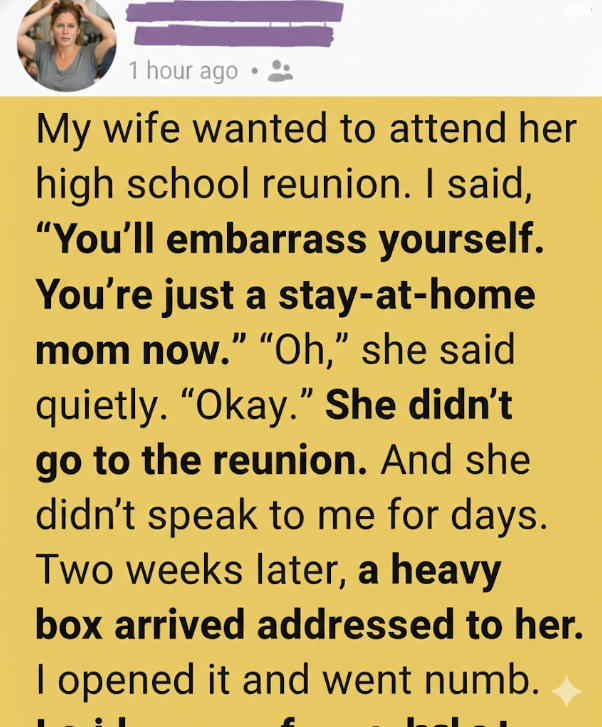 What I Thought Was a Lazy Day Turned Into a Surprising Discovery