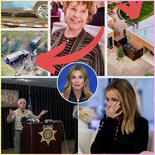 New Lead Prompts Police Call to Savannah Guthrie in Ongoing Search