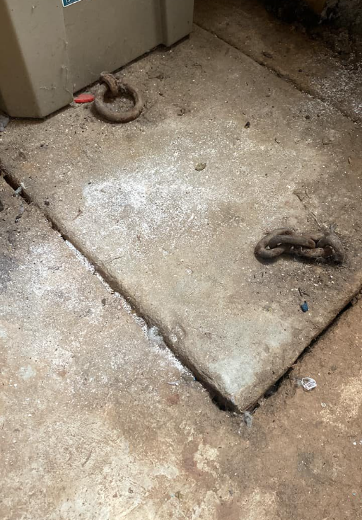 Uncovering the Surprising Story Hidden Before Your Eyes