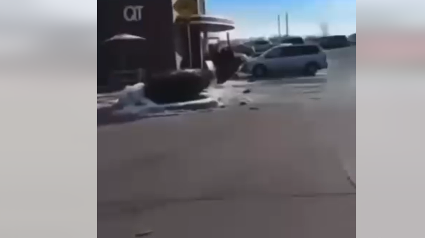 Community Seeks Answers After Law Enforcement Incident at Convenience Store