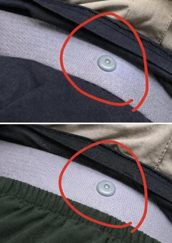 The Hidden Function of Your Seat Belt’s Round Button Explained