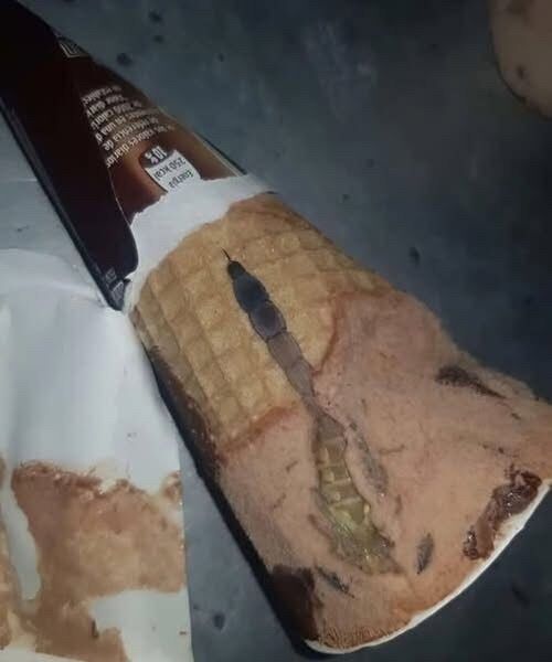 A Routine Ice Cream Treat Led to an Unexpected Discovery