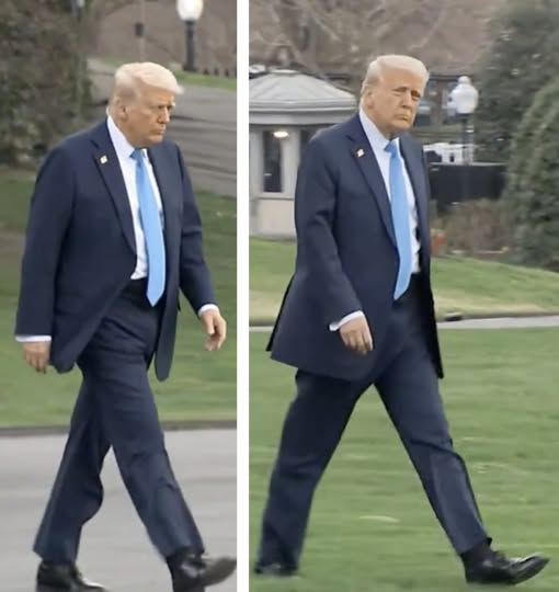 Image of Donald Trump Heading to Marine One Sparks Discussion