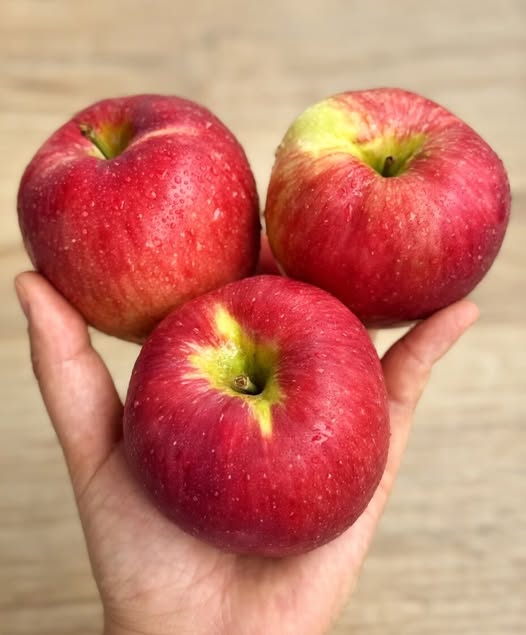 Why Apples Are Considered a Powerful Everyday Fruit for Wellness