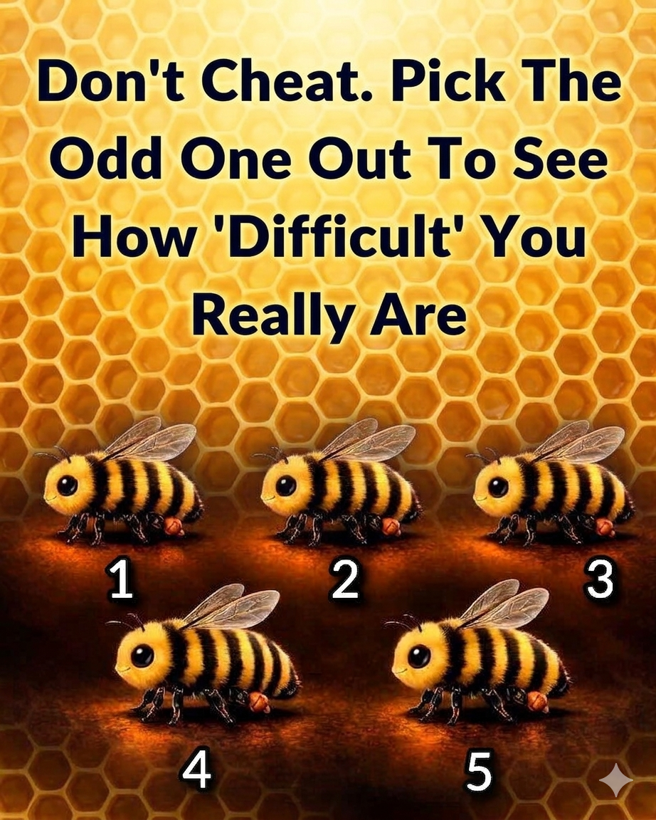 Can You Spot the Odd One Out? A Simple Visual Challenge