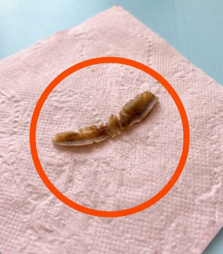 I Saw Something Unusual in Her Bathroom — The Truth Was Simple