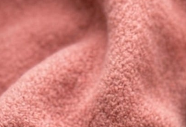 What Looked Like Junk Revealed a Forgotten Piece of Life at Sea