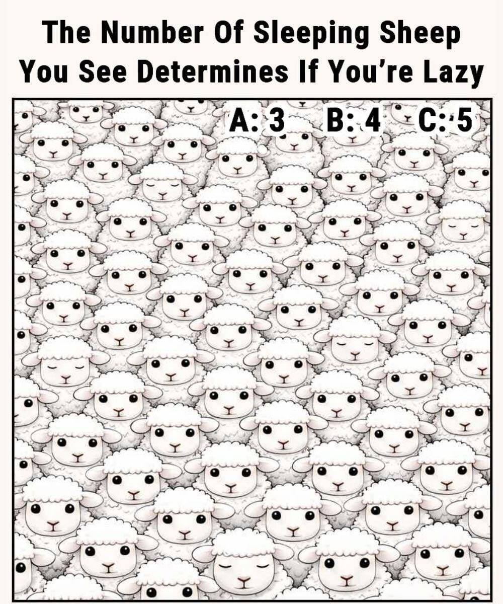 This Sheep Puzzle Tests Your Focus and Observation Skills