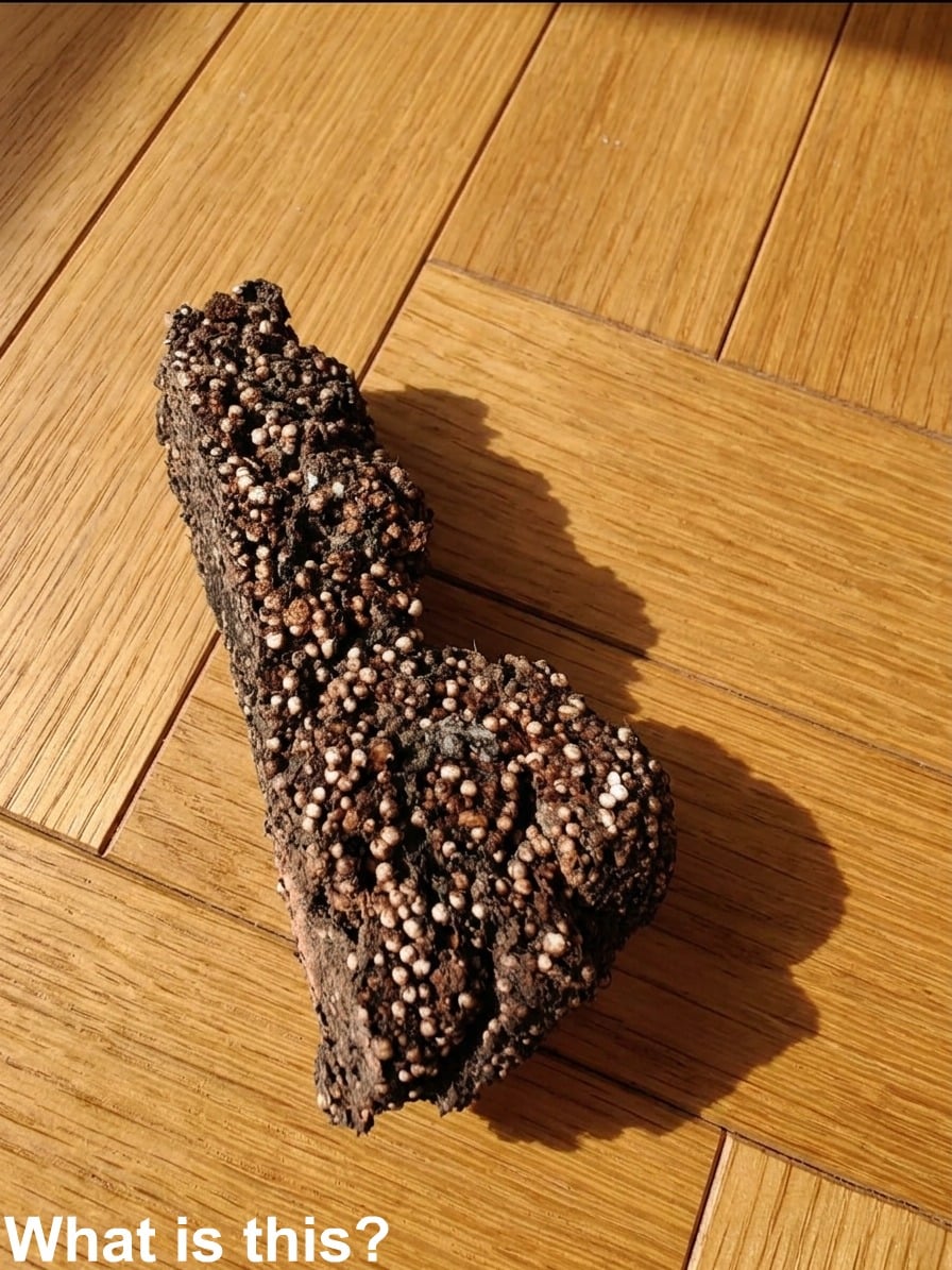 This Mysterious Item Turned Up in My Son’s Room—Any Ideas What It Is?