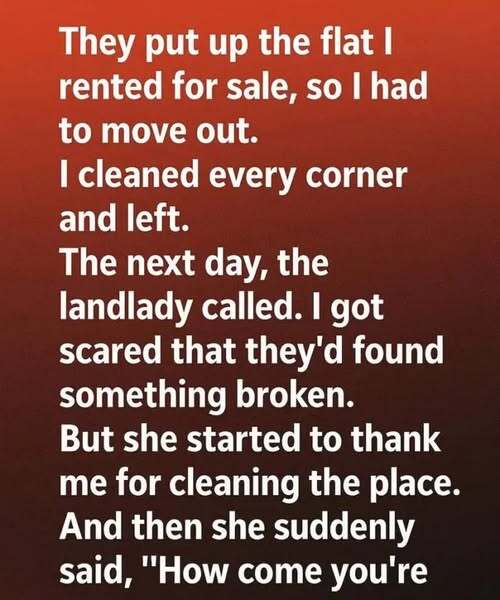 After Leaving My Apartment Spotless, I Got a Call That Changed Everything