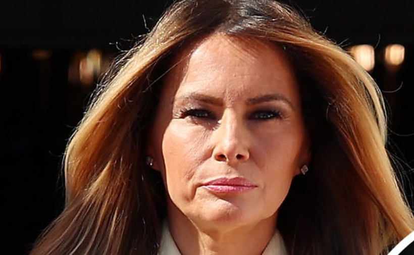 Lip-Reading Analysis of Melania Trump and King Charles III Interaction