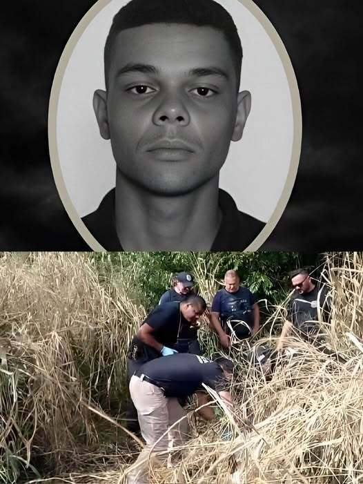 A Long Search Ends in Unexpected Reunion After Nearly Three Years