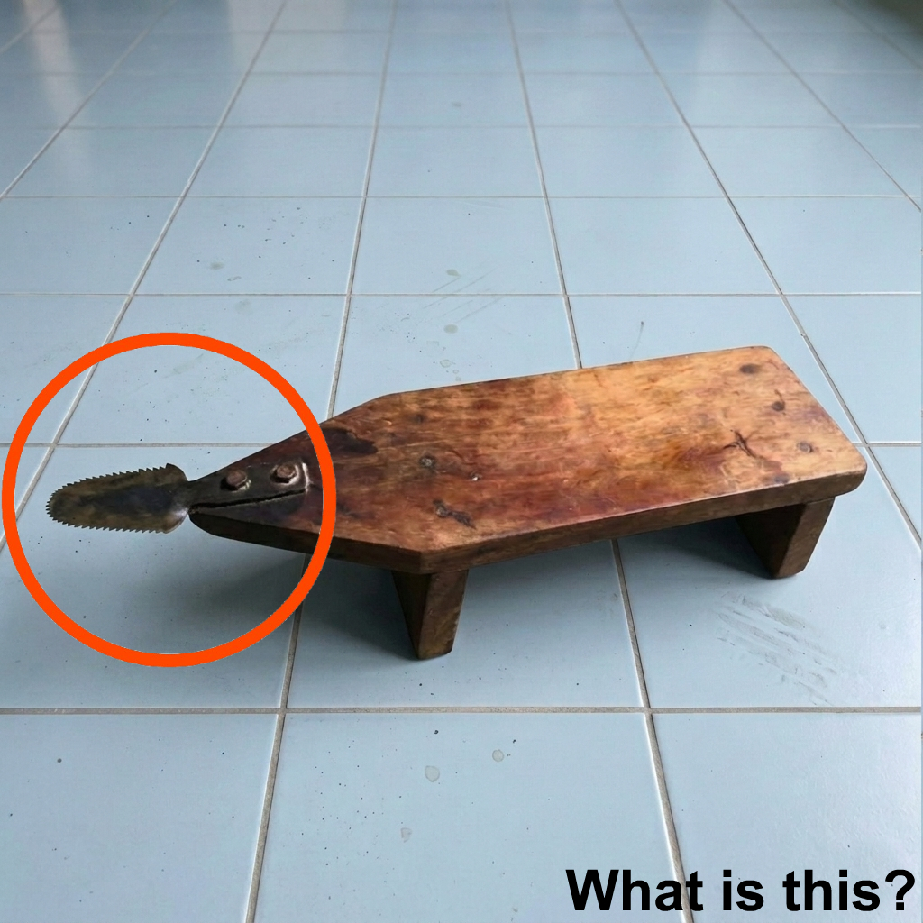 Forgotten Object in Garage Revealed as Traditional Coconut Grater Tool Coconut