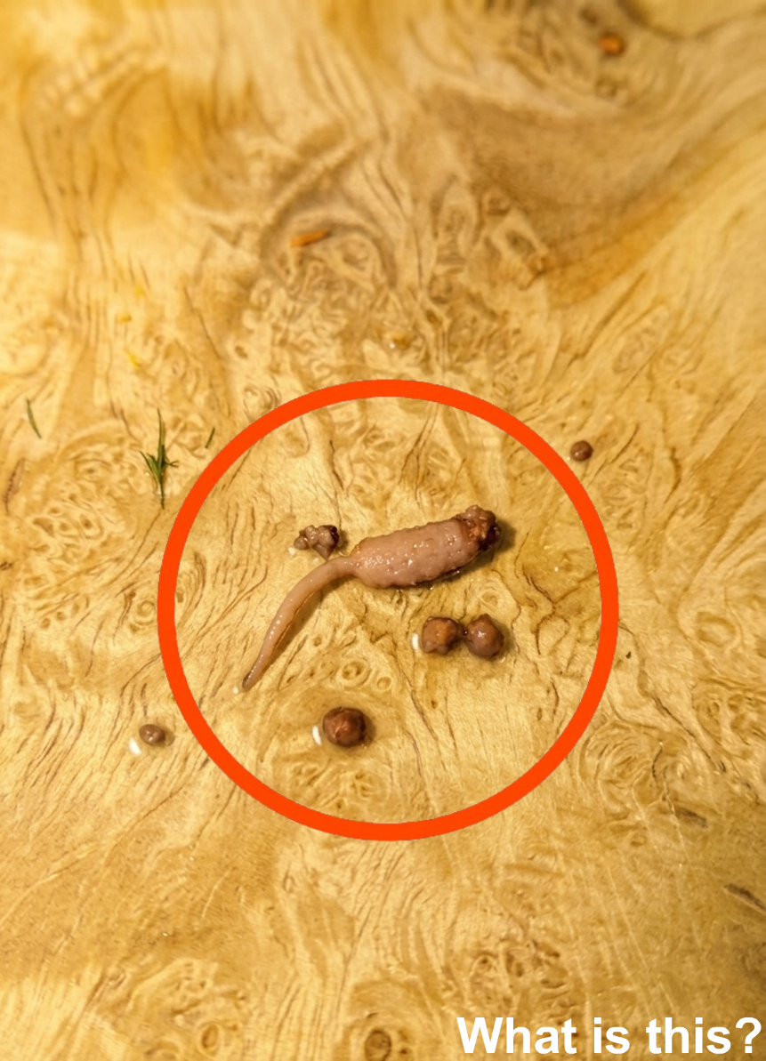 When Food Looks Strange: The Science Behind Unusual Changes