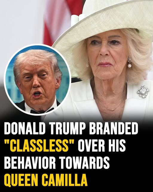 Donald Trump Sparks Debate Following Statements About Queen Camilla