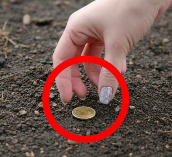 Why Finding a Coin Can Feel Meaningful and What Psychology Says About It