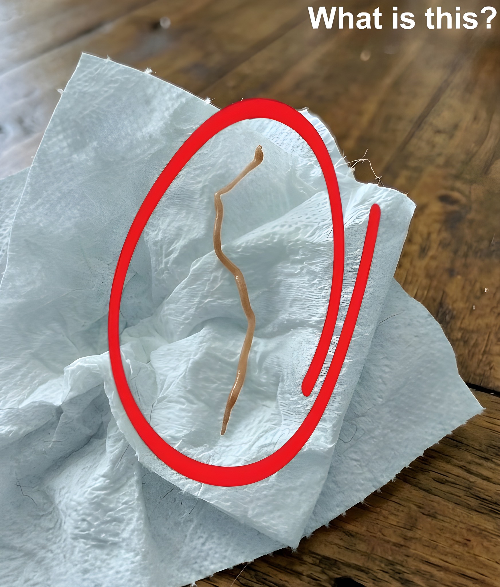 I Thought I Was Making Dinner — Until I Took a Closer Look at the Pork Ribs