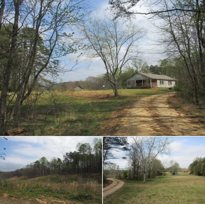 Rare 10-Acre Property in Spruce Pine Offers Space, Privacy, and Possibility