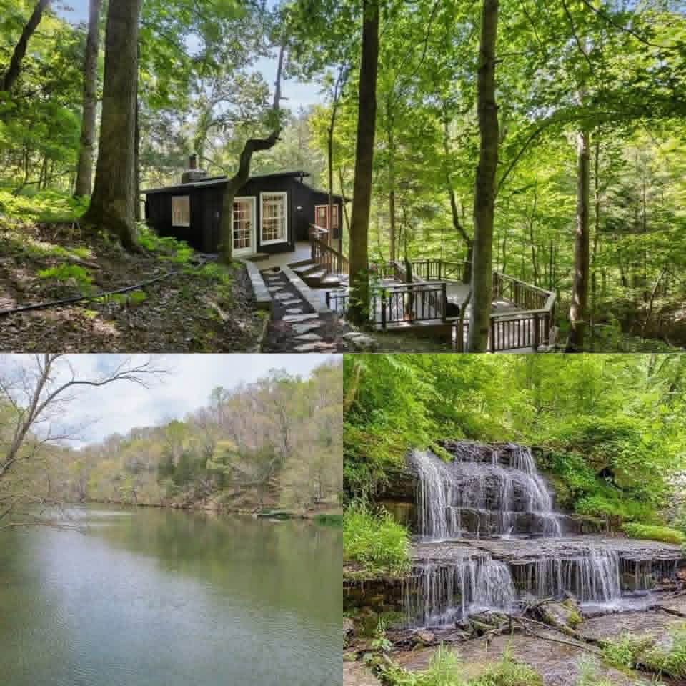 Escape to This Cozy Fairview Cabin Surrounded by Nature and Lake Access