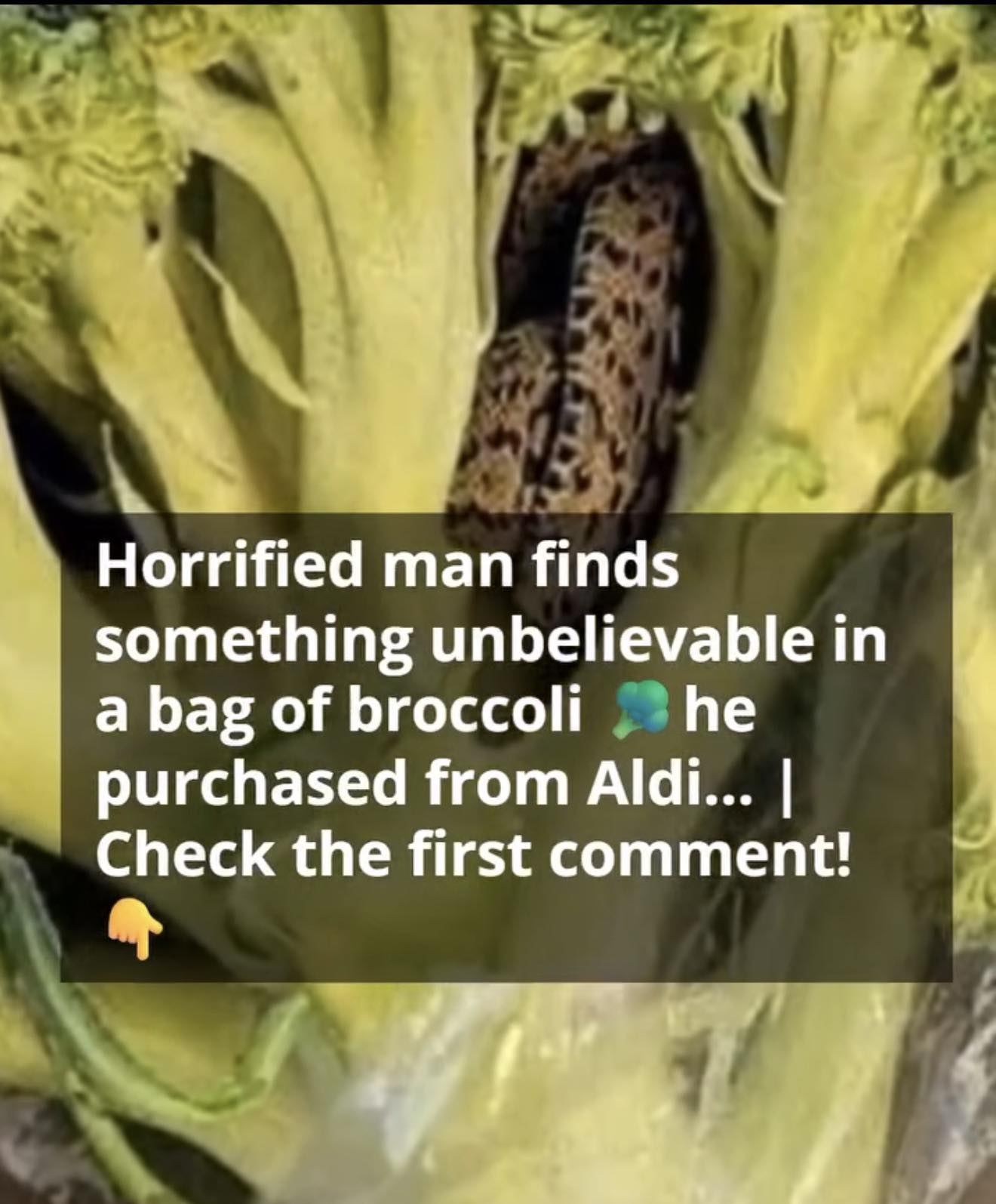 What One Shopper Found Inside a Bag of Broccoli Caught Everyone Off Guard
