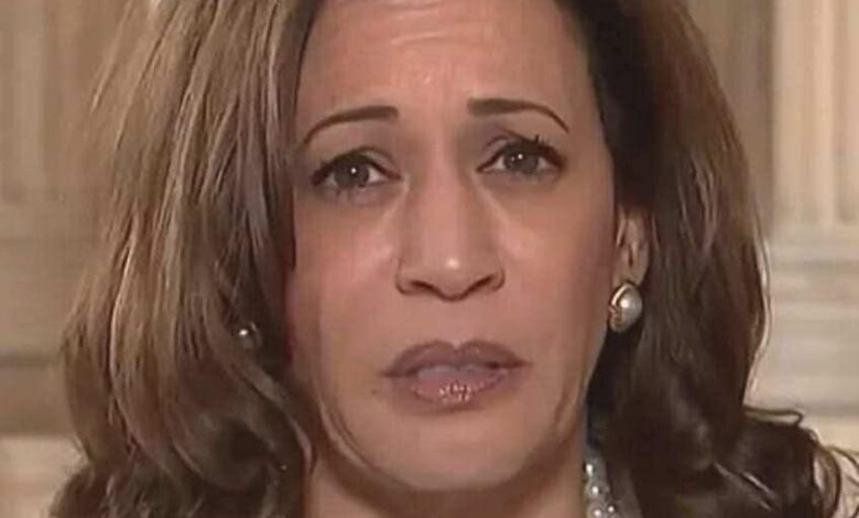 Public Interest Grows Following New Developments Involving Kamala Harris
