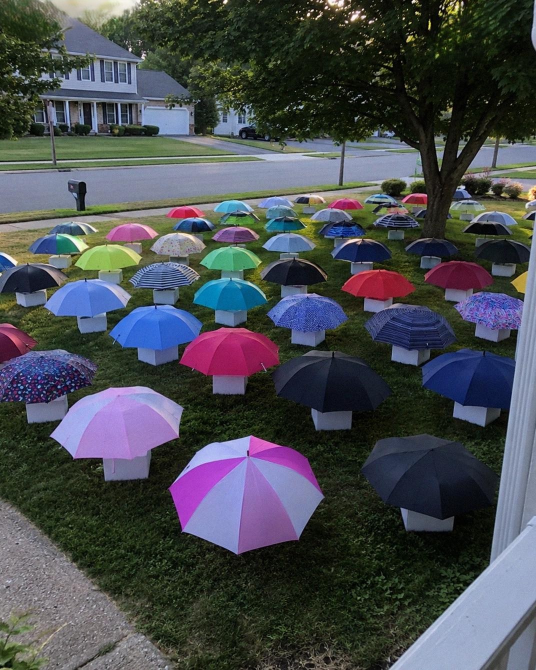 After My Son Shared His Umbrella, Our Family Received a Mysterious Gift