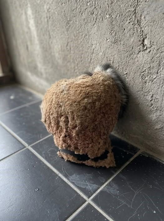 We Returned From Vacation to an Unexpected Discovery in Our Bathroom—and It Changed Everything