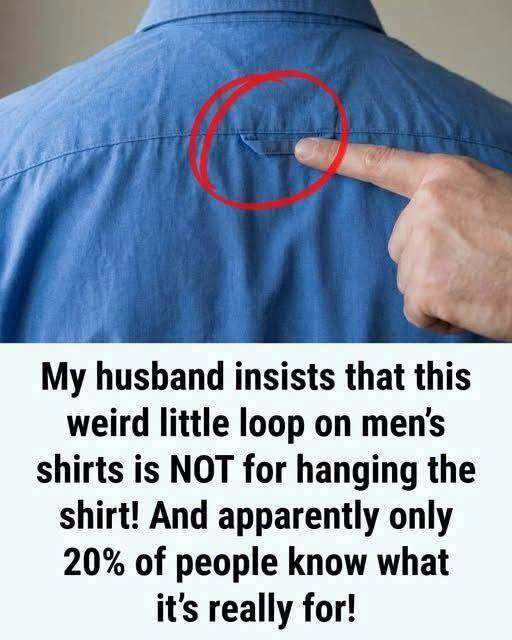 The Hidden Purpose Behind the Loop on the Back of Your Shirt