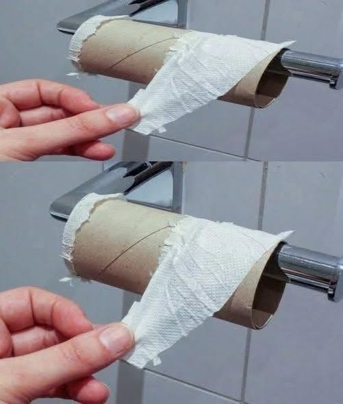 Why More People Are Exploring Eco-Friendly Alternatives to Traditional Toilet Paper