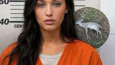 Hikers Made an Unusual Discovery in the Forest That Left Everyone Asking Questions