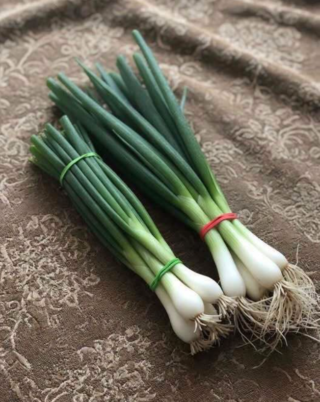The Simple Guide to Understanding Green Onions, Scallions, Spring Onions, and Chives