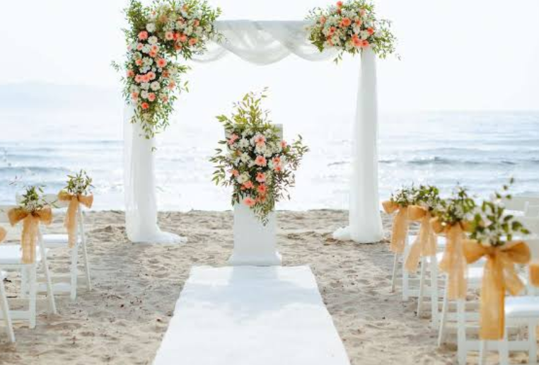 A Widow’s Unexpected Discovery After Her Wedding Led to a Powerful Lesson About Trust