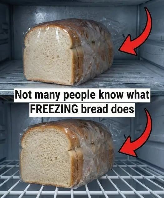 The Right Way to Freeze Bread and Keep It Fresh for Longer