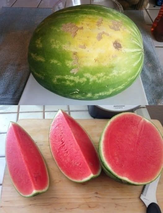 Grocery Shopping Tips: How to Spot the Best Fruit