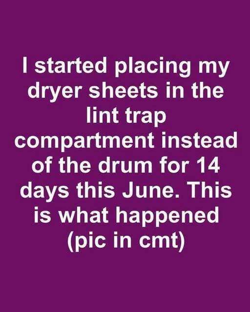 I Put Dryer Sheets in the Lint Trap Instead of the Drum for Two Weeks—Here’s What I Discovered